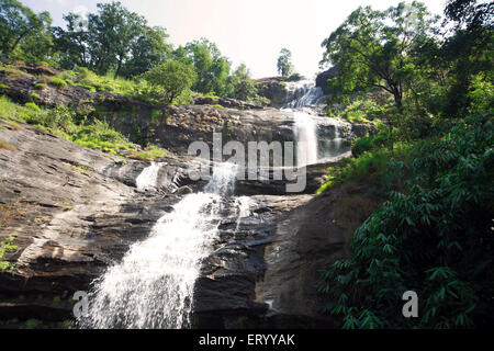 Waterfalls , Eravikulam stream , Munnar , hill station , Idukki district , Western Ghats mountain , Kerala , India , Asia Stock Photo