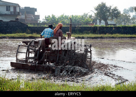 Tractor ploughing paddy field , Palghat , Palakad , Palakkad , Kerala , India , Asia Stock Photo
