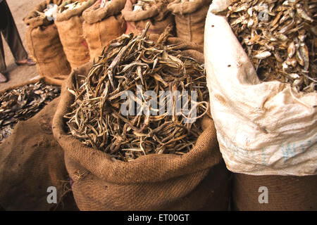 Dried fish packed in sacks for sale , Dry Fish Market , Jagiroad , Assam , India , Asia Stock Photo