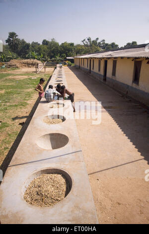 cattle feed in bowls ; Birbhum ; Bolpur ; Shantiniketan ; West Bengal ; India , asia Stock Photo