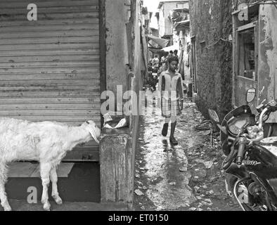 Narrow lane in Bhatwadi and Devnar slum ; Bombay Mumbai ; Maharashtra ; India NO MR Stock Photo
