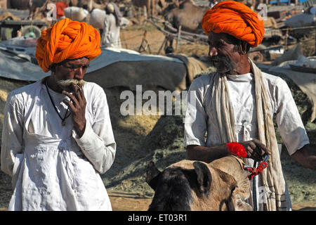 Camel seller in Pushkar Mela ; Rajasthan ; India Stock Photo
