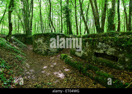 Original German trenches and dugouts from the First World war in the St. Mihiel Salient, France Stock Photo