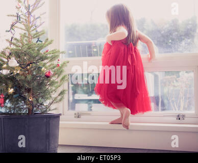 Girl in red dress on ledge next to potted Christmas tree Stock Photo