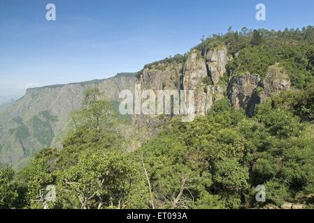 Palani hills at 2133 meters above sea level ; Kodaikanal popularly known as Kodai ; Tamil Nadu ; India Stock Photo