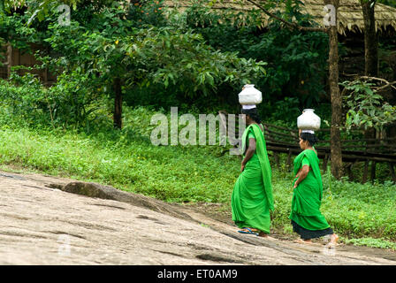 Women carrying water on head at Athirappally ; Kerala ; India - maa 157549 Stock Photo