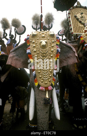 Decorated elephant on Pooram festival in Thrissur Trichur ; Kerala ; India Stock Photo