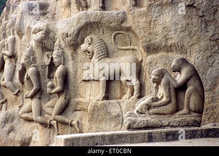 Arjunas penance in Mahabalipuram Mamallapuram Tamil Nadu India Stock Photo