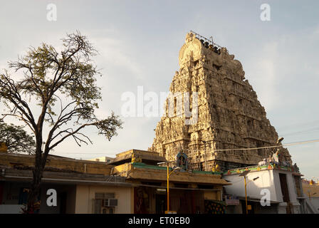 Kamakshi Amman temple  ; Kanchipuram kancheepuram  ; Tamil Nadu  ; India Stock Photo