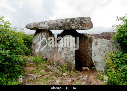 Megalithic dolmens or Muniyaras at Kovilkadavu ; Kudakkallu ; Muniyara Dolmens ; Umbrella Stone ; Marayoor ; Munnar ; Kerala ; India ; Asia Stock Photo