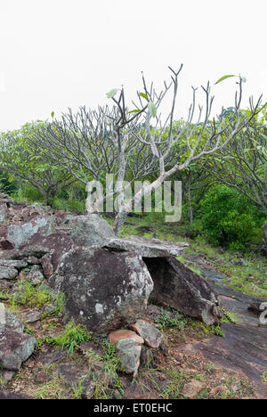 Megalithic dolmens or Muniyaras at Kovilkadavu ; Kudakkallu ; Muniyara Dolmens ; Umbrella Stone ; Marayoor ; Munnar ; Kerala ; India ; Asia Stock Photo