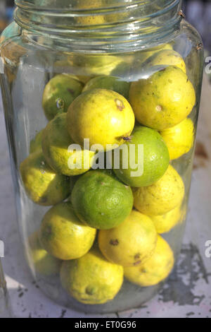 Lemons inside glass jar ,  Anand , Charotar , Gujarat , India , Asia Stock Photo