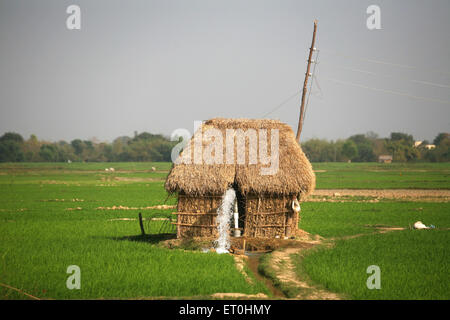 thatched roof hut on water pump in rice field, Ranchi, Jharkhand, India, Indian village life Stock Photo