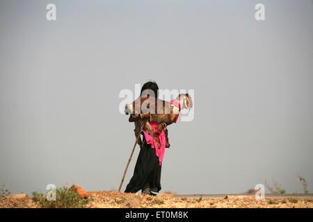 Small girl and her goat in Bhopal ; Madhya Pradesh ; India Stock Photo