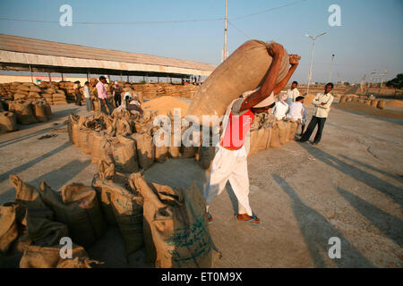 Worker carrying jute bag containing food grains at Harsud Mandi ; food grains market in Bhopal ; Madhya Pradesh ; India Stock Photo