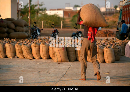 Worker carrying jute bag containing food grains on his head at Harsud Mandi ; food grains market in Bhopal Stock Photo