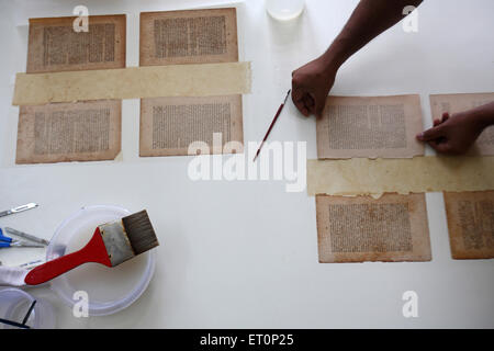 Preservation work of rare books in library of mumbai university ; Bombay Mumbai ; Maharashtra ; India 9 July 2009 Stock Photo