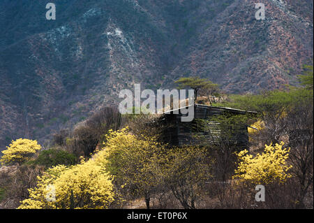 Hut in the Mountains of the sierra nevada de Santa marta - Northern Colombia Stock Photo