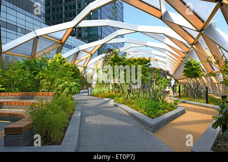 Plants grow Crossrail Place roof garden above Crossrail train station with ETFE roof panels & glulam spruce timber beams Canary Wharf East London UK Stock Photo