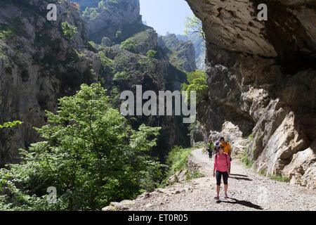 Walkers in the Cares Gorge Picos De Europa Cordillera Cantabria Spain Stock Photo