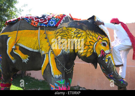 painted elephant, elephant decorated, elephant decoration, elephant parade, elephant festival. Jaipur, Rajasthan, India, Indian festivals Stock Photo