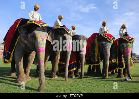 painted elephant, elephant decorated, elephant decoration, elephant parade, elephant festival. Jaipur, Rajasthan, India, Indian festivals Stock Photo