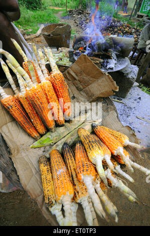 Roasted corn on hawker stall ; India Stock Photo