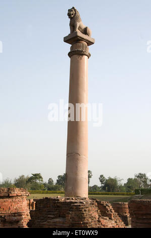 Ashoka Pillar , Ashoka Stambha , Lion Pillar , Kolhua , Vaishali , Patna ,  Muzaffarpur district , Bihar , India , Asia Stock Photo