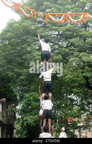 Govinda making human pyramid to break Dahi Handi ; Janmashtami janmashtmi gokul ashtami govinda festival ; Dadar ; Bombay Mumbai Stock Photo