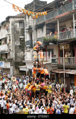 Govinda making human pyramid to break Dahi Handi ; Janmashtami janmashtmi gokul ashtami govinda festival ; Dadar ; Bombay Mumbai Stock Photo