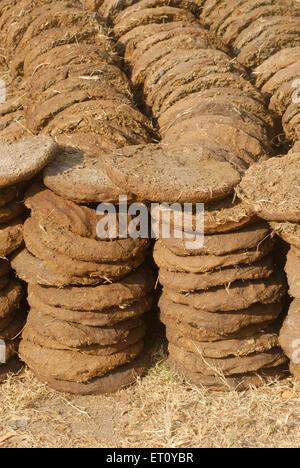 Cow dung cakes in a pile at the side of a road. Cow dung is a valuable  renewable source of fuel used for domestic purposes in developing  countries. Ph Stock Photo -