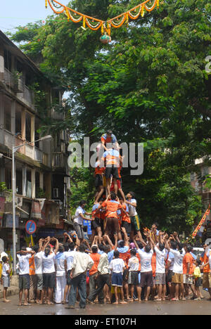 Human pyramid trying to break dahi handi on janmashtami festival at dadar ; Bombay ; Mumbai ; Maharashtra ; India Stock Photo