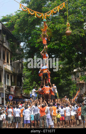 Human pyramid breaking dahi handi on janmashtami festival at dadar ; Bombay ; Mumbai ; Maharashtra ; India - nmk 177195 Stock Photo