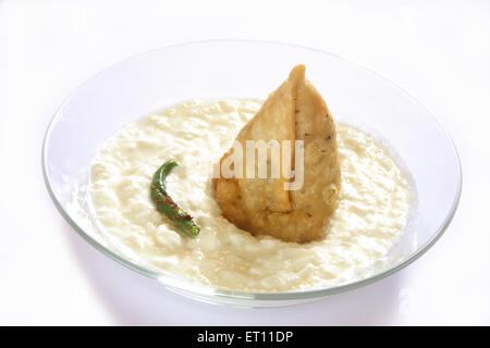 Fast food ; samosa with curd and green chilli in bowl on white background Stock Photo