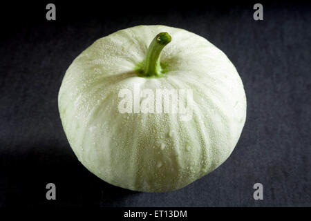 Ash gourd, Benincasa hispida, winter melon, wax gourd, white pumpkin, Chinese watermelon, black background Stock Photo