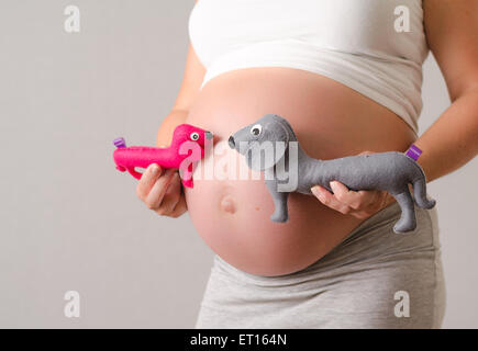 Pregnant woman maternity picture of her belly with a duck cuddly toy twins Stock Photo