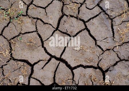 cracked earth, drought, dry earth, dried earth Stock Photo