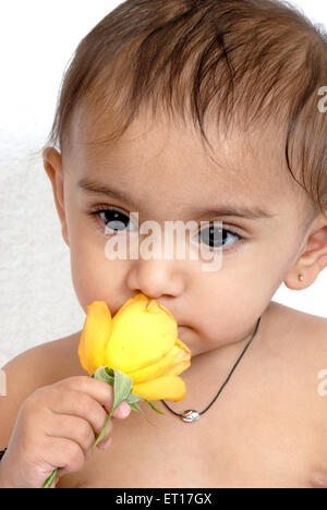 Baby smelling yellow rose flower MR#152 Stock Photo