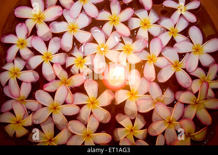 Flowers and candle light floating on water in a Spa ; Palolem beach ; Goa ; India Stock Photo