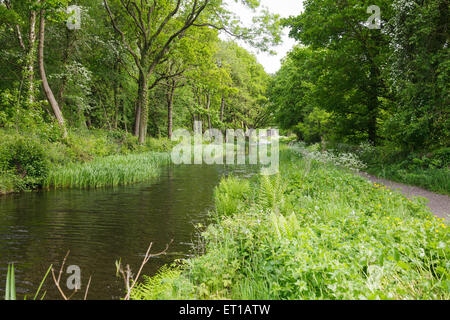 Cromford Canal by Ambergate, Derbyshire, England Stock Photo