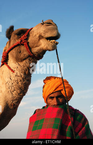 Man and camel ; Khuri Khuhri ; Jaisalmer ; Rajasthan ; India NOMR Stock Photo