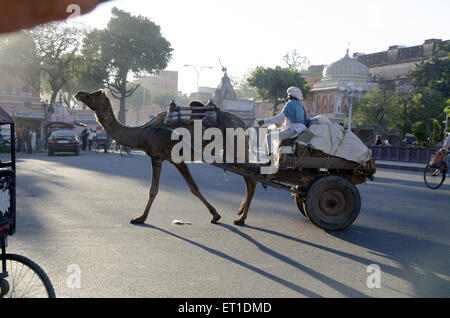 Camel Cart moving on road in Jaipur at Rajasthan India Stock Photo