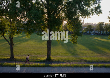 Couple walk under 100 year-old ash trees in a park in the south London borough of Lambeth. Stock Photo