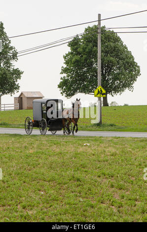 An Amish family riding in a traditional Amish buggy in Lancaster county, Pennsylvania, USA Stock Photo