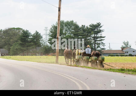 Amish farmer plowing land, ploughing, in traditional way, countryside, Lancaster County, Dutch Pennsylvania, USA Stock Photo