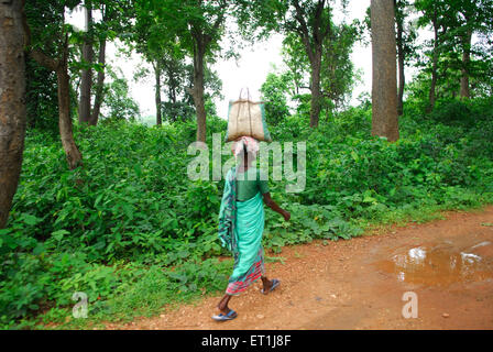 woman carrying luggage, Ho tribe, tribal people, Chakradharpur, West Singhbhum, Jharkhand, India, Asia Stock Photo