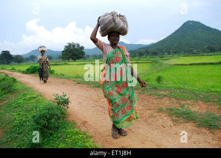 women carrying luggage, Ho tribe, tribal people, Chakradharpur, West Singhbhum, Jharkhand, India, Asia Stock Photo