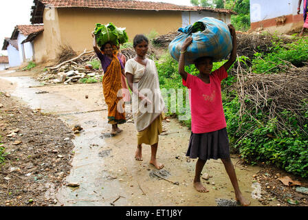Women with luggage, Ho tribe, tribal people, Chakradharpur, West Singhbhum, Jharkhand, India, Asia Stock Photo