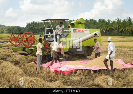 Thresher threshing rice Harihar Davanagere Karnataka India - stp 170180 Stock Photo