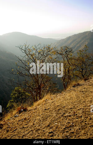 Bhimkund point, Chikhaldara, hill station, Satpura Range, Deccan plateau, Amravati, Maharashtra, India, Asia Stock Photo